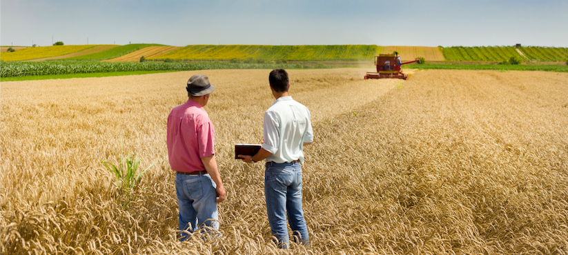 two-men-watching-combine-in-field-harvest