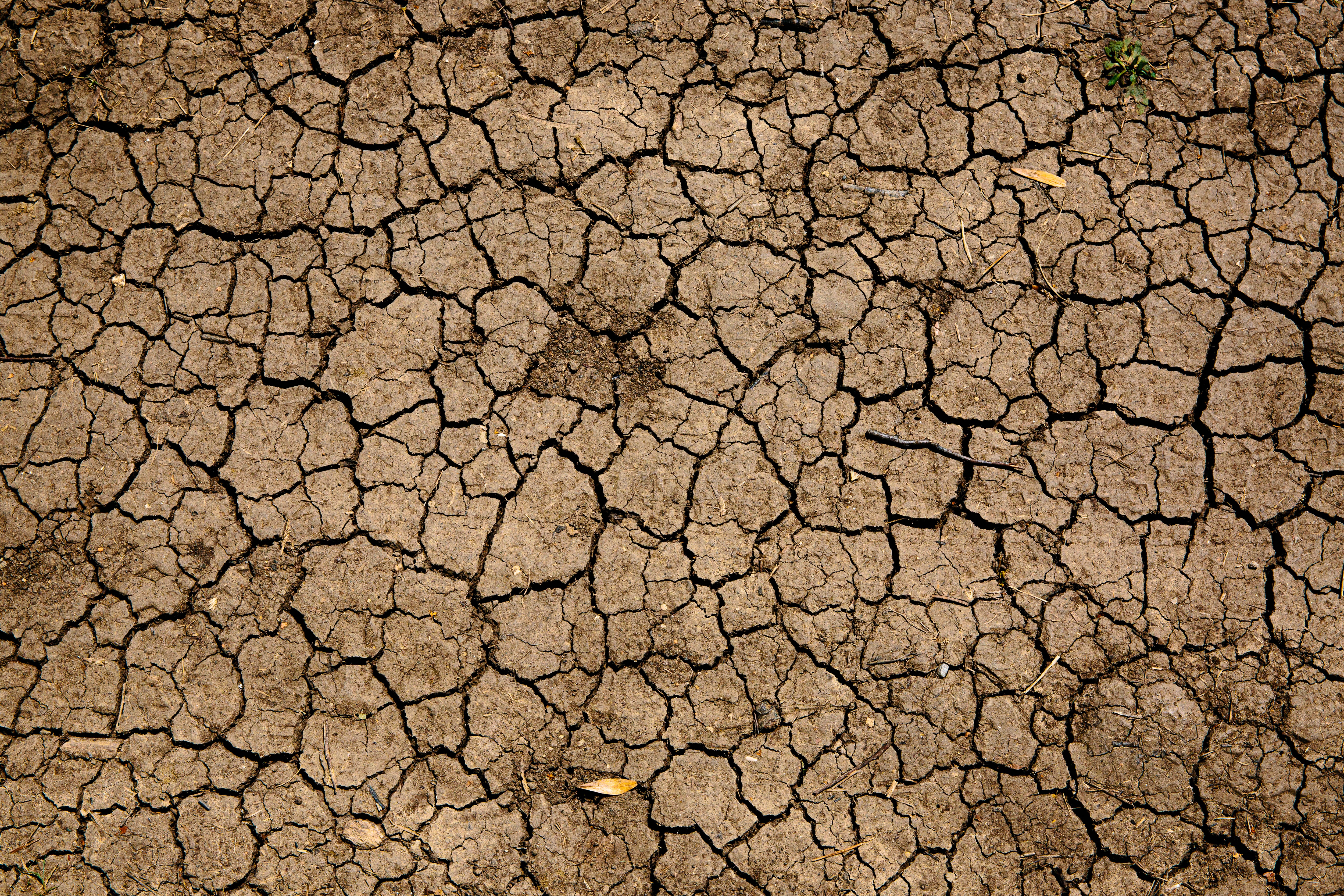 drought-cracked-soil